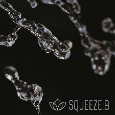 Encoder Decoded: Sorenson Squeeze 9 Is Faster, Smarter