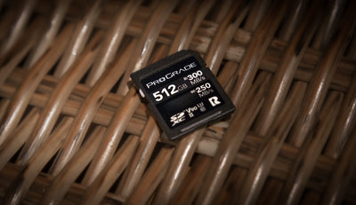 ProGrade 512GB UHS-II V90 SDXC Card Meets the Needs of All Shooters