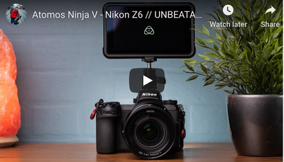 Atomos Ninja V - Nikon Z6 // UNBEATABLE Setup!!!