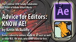 Advice To Editors: LEARN AE!