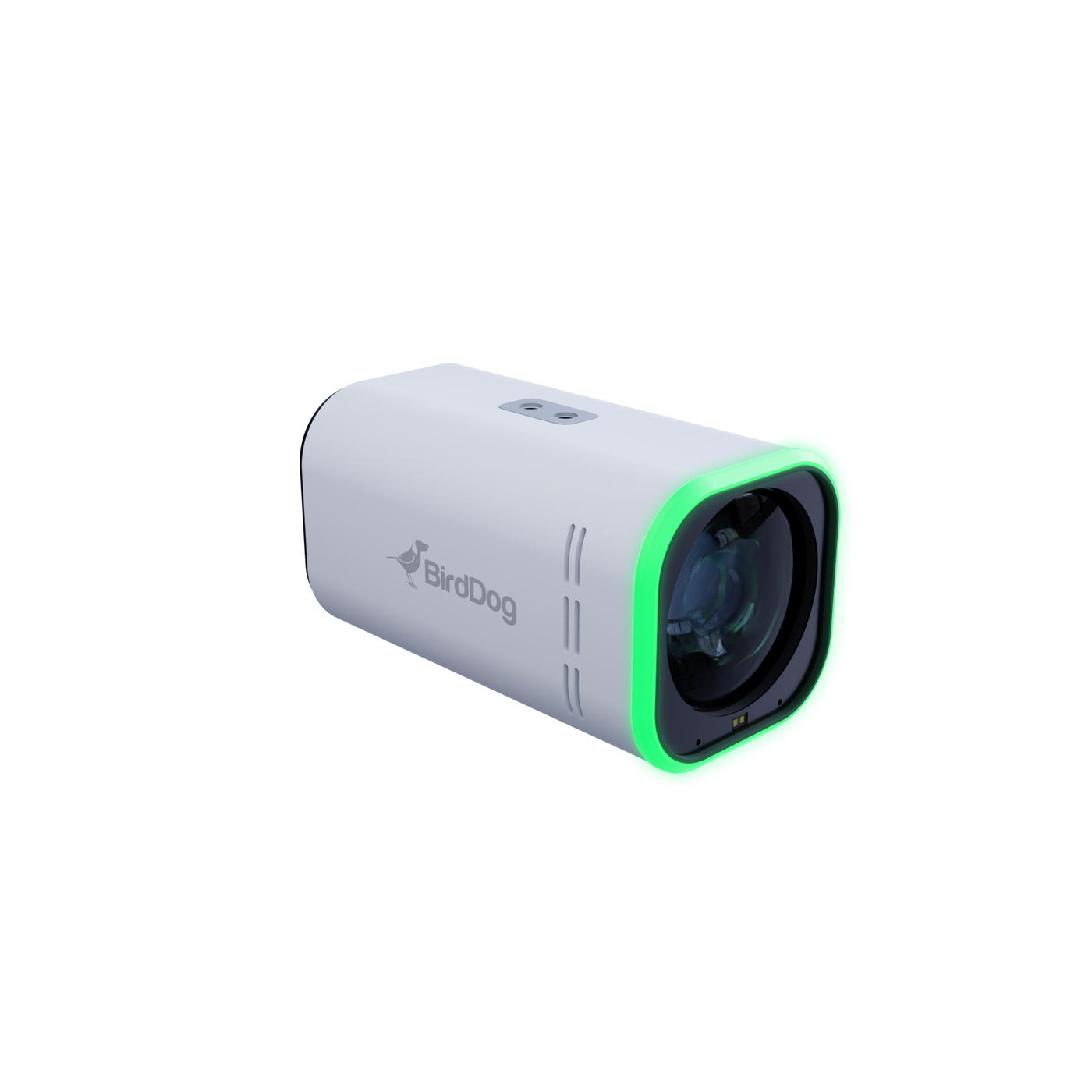 BirdDog MAKI Ultra 4K 12x Zoom Box Camera (White)