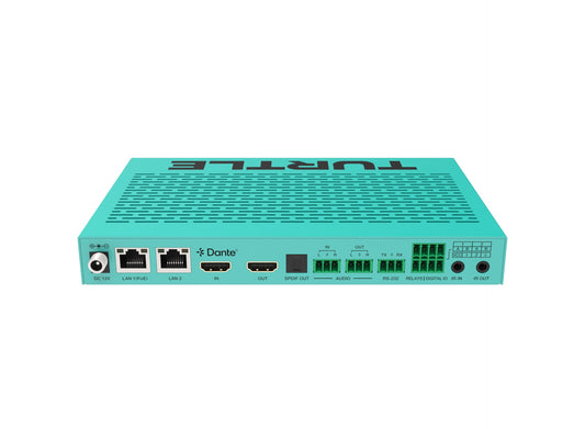 Turtle CHAZY 4K TX