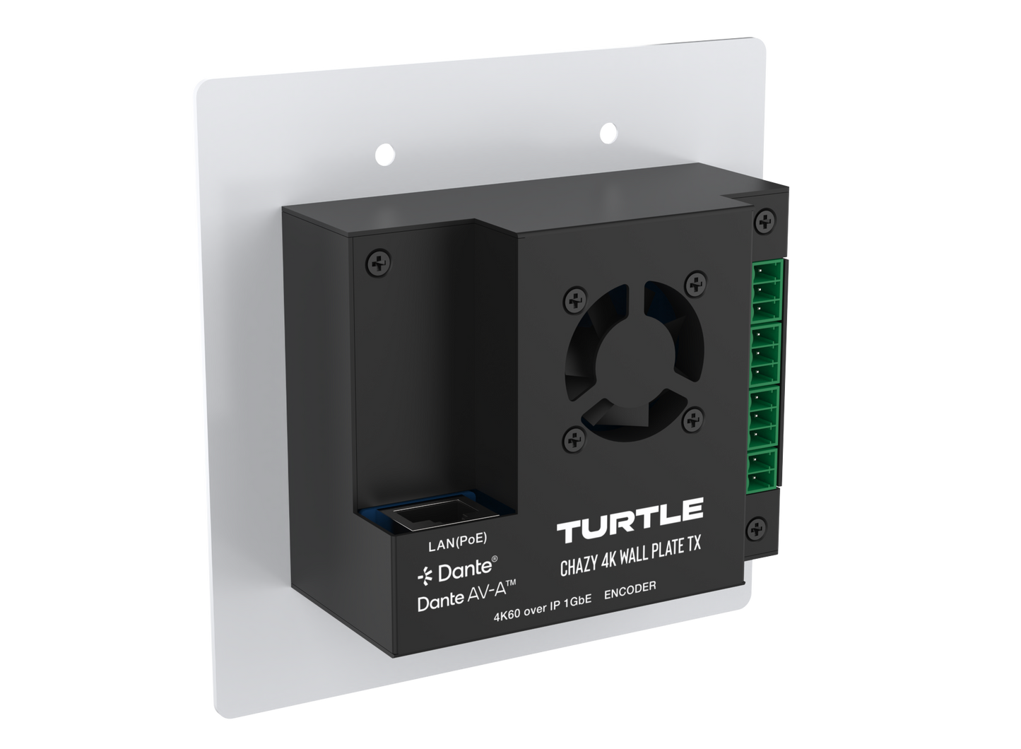 Turtle CHAZY 4K Wall Plate Tx