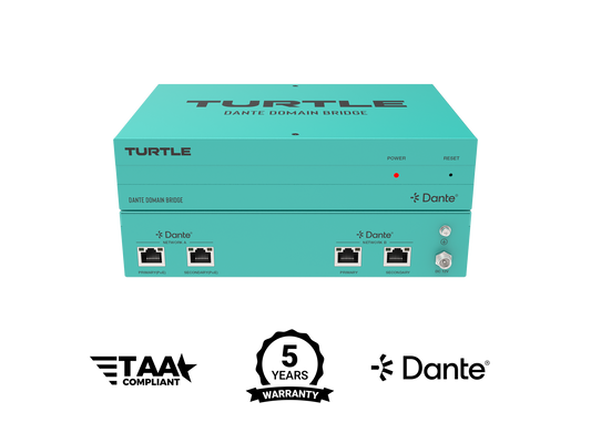 Turtle Dante Domain Bridge