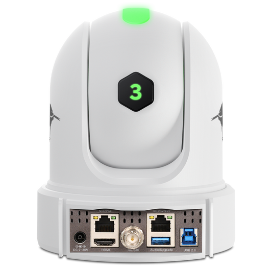 BirdDog P120 20x Full NDI PTZ Camera (White)