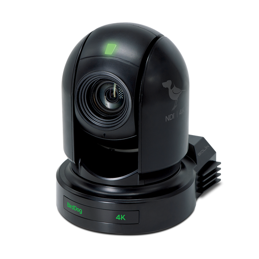BirdDog Eyes BDP400B 20x 10-Bit NDI 4K Camera (Black)