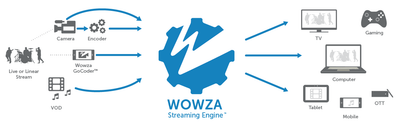 Wowza Streaming Engine Pro with 1 year Maintenance & Support