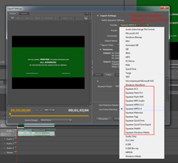 Adobe Premiere Export using Squeeze