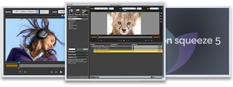 Avid, Sorenson Media Partnership Makes Editing-to-Publishing Seamless