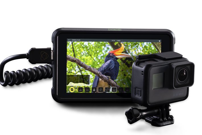 Atomos Shinobi: $499” 4K/HD HDR SDI monitor