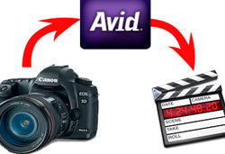 Canon 5D Avid FCP roundtrip