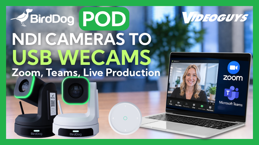How to Turn NDI Cameras Into USB Webcams with BirdDog POD