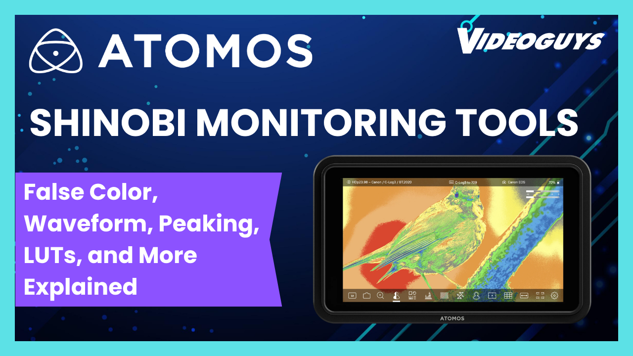 Atomos Shinobi Monitoring Tools: False Color, Waveform, Peaking, LUTs ...