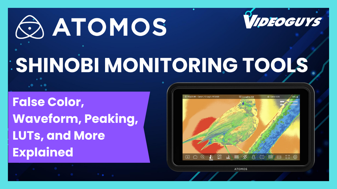 Atomos Shinobi Monitoring Tools: False Color, Waveform, Peaking, LUTs ...