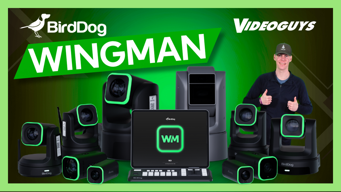 BirdDog Wingman: A Complete Guide to NDI Live Production