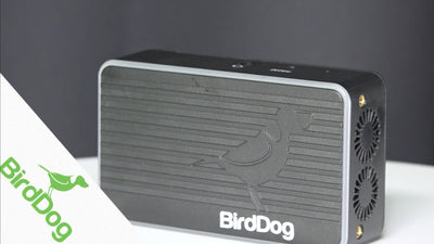 BirdDog Flex 4K Family Product Spotlight