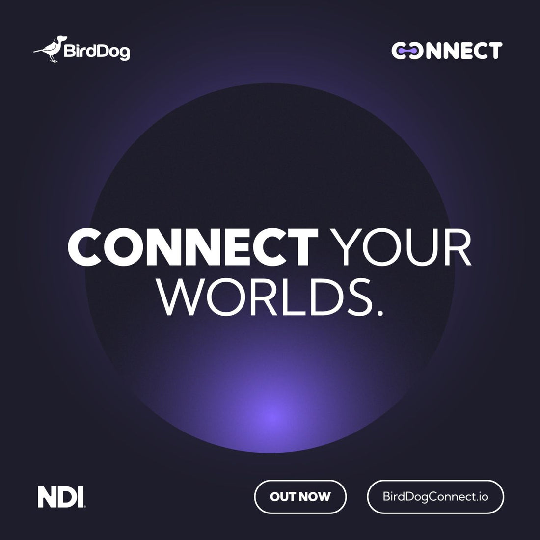 Remote production just got a whole lot smarter with BirdDog Connect