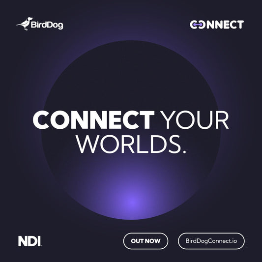 Remote production just got a whole lot smarter with BirdDog Connect
