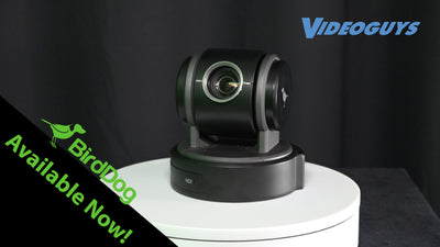 BirdDog Eyes P100 | Videoguys Product Spotlight