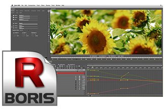 Boris RED 5.5 &amp; Continuum Complete AVX 9 for Avid Editors