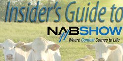 The Insider's Guide to NAB