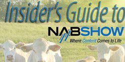 The Insider&#039;s Guide to NAB