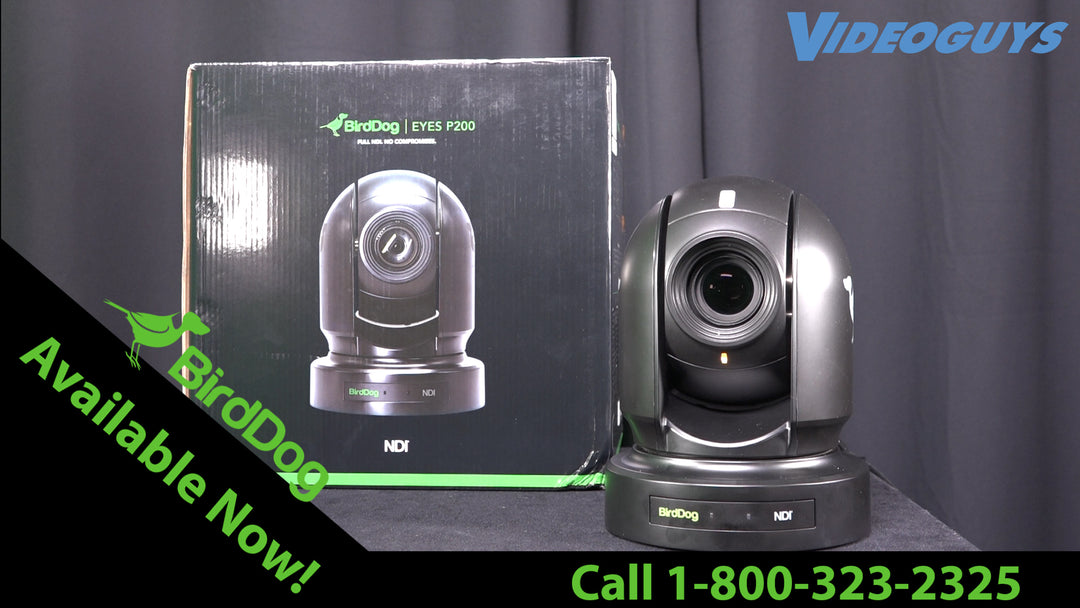 BirdDog Eyes P200 Full NDI PTZ Camera | Videoguys Product Spotlight