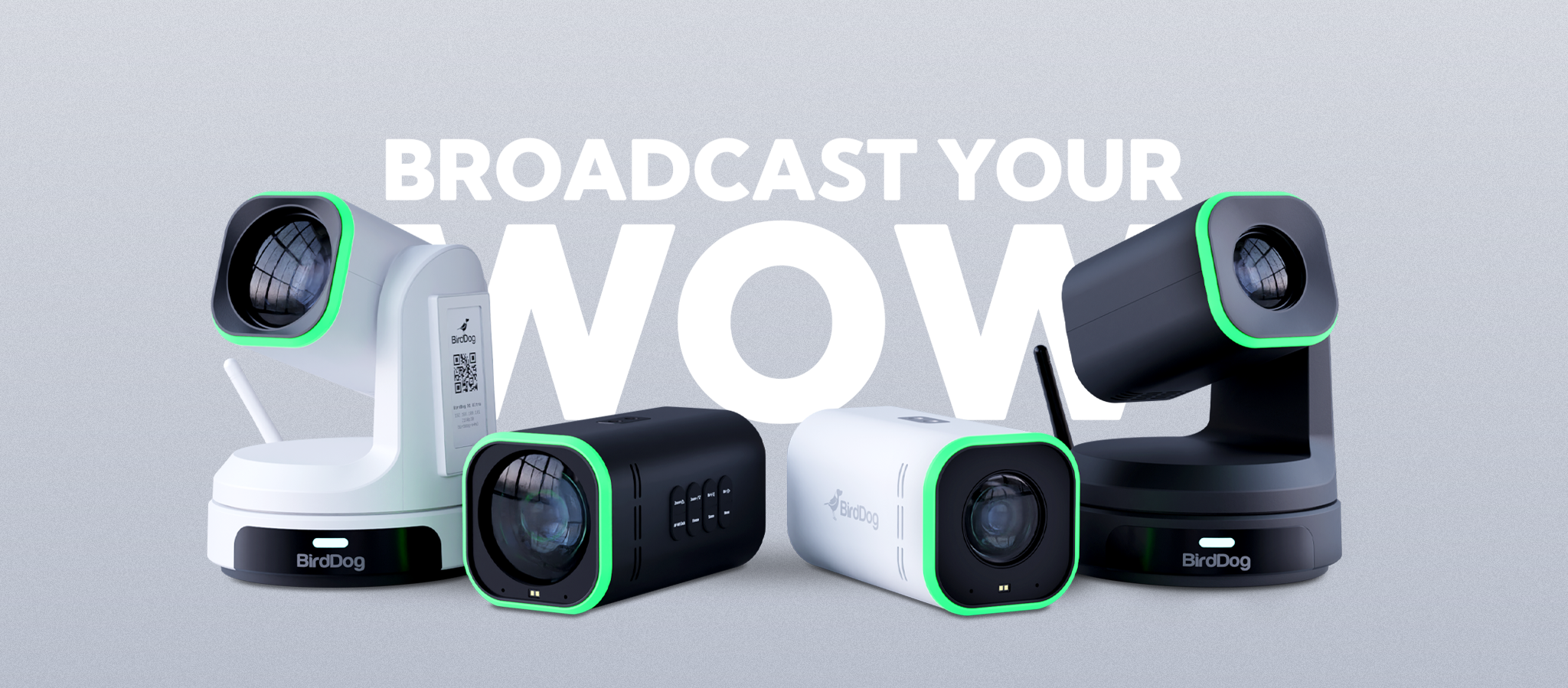 General Camera BirdDog Next Gen Cameras are Here – Videoguys