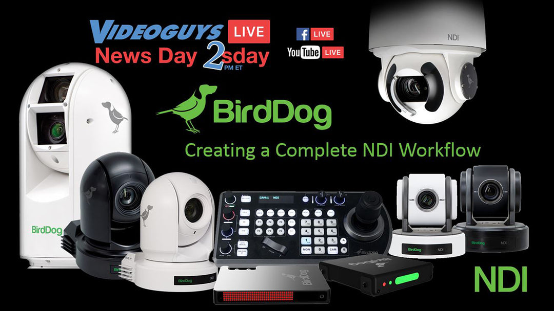 Completing Your NDI Workflow with BirdDog | Videoguys NewsDay 2sDay (01-07-19)