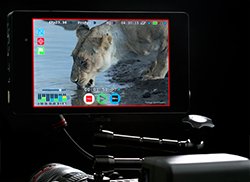 ATOMOS ANNOUNCE REVOLUTIONARY SHOGUN 4K HDMI MONITOR/RECORDER AT NAB 2014