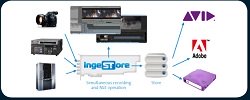 Bluefish444 Introduces Fluid Ingestore &amp; Fluid Ingestore DNxHD Compatible with All Epoch &amp; Create Video Cards