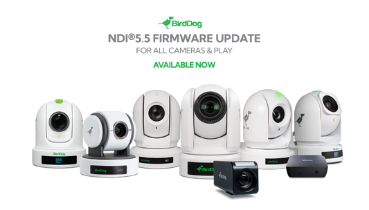 New Firmware Update For All BirdDog Cameras and PLAY!