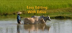 Edius Tips: Video Editing Made Easy