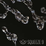 Introducing New Sorenson SQUEEZE 9 — 1.5 Years in the Making