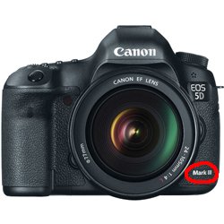 The long awaited Canon 5D mkIII…is it what we were hoping for?