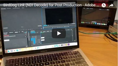 BirdDog Link (NDI Decode) for Post Production - Adobe Premiere Pro