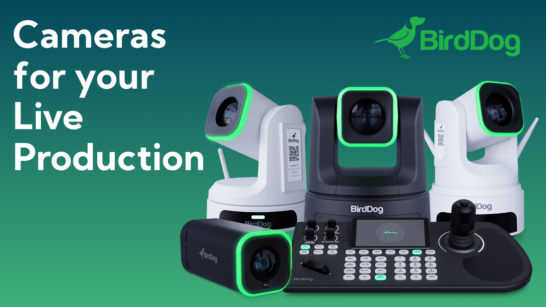 BirdDog Has You Covered for Live Production