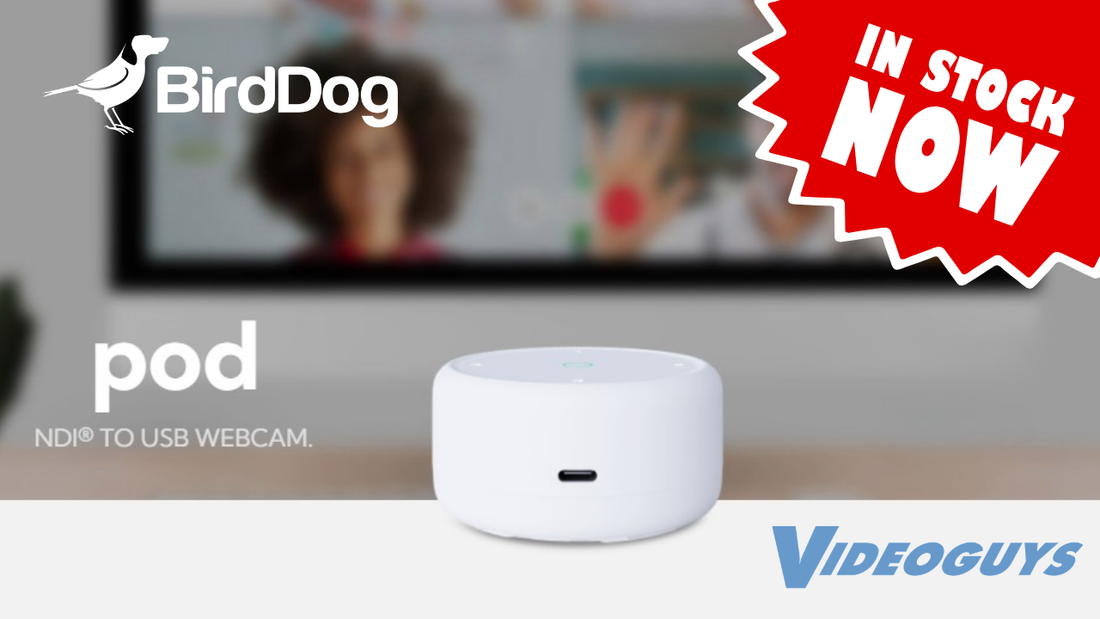 Get More From the NDI Cameras You Already Own with BirdDog POD