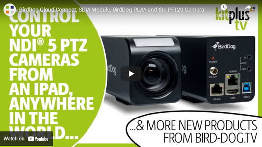 Birddog's Eamon Drew Talks Birddog Play, Cloud, PF120 Box Camera and More