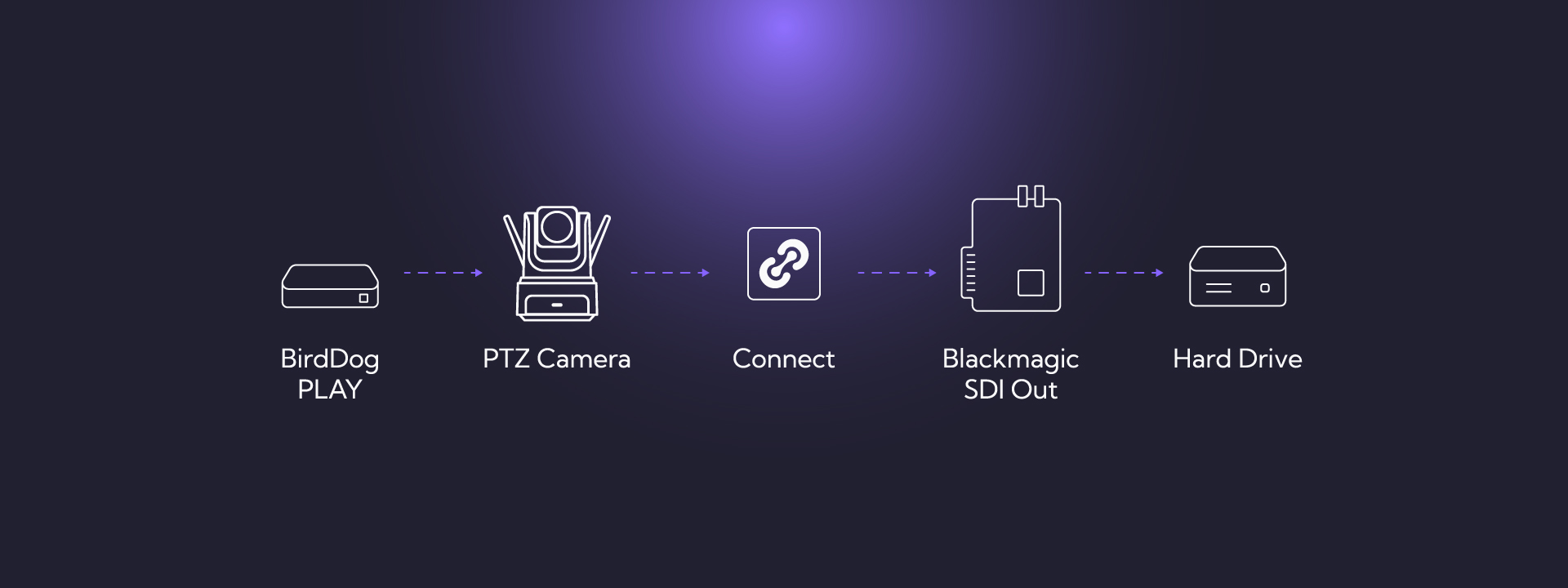 BirdDog Connect: The Ultimate Bridge for Modern Production – Videoguys