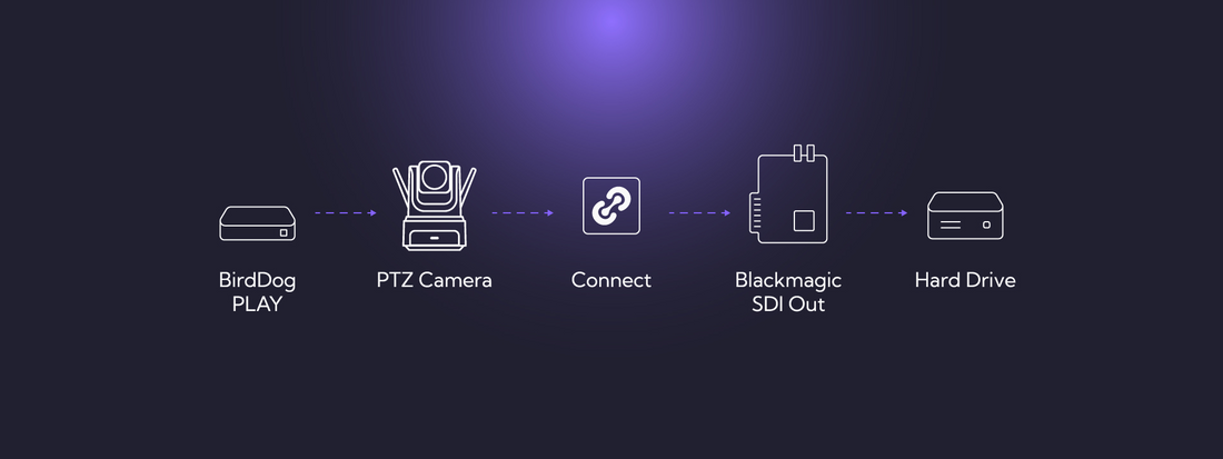 BirdDog Connect: The Ultimate Bridge for Modern Production