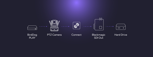 BirdDog Connect: The Ultimate Bridge for Modern Production