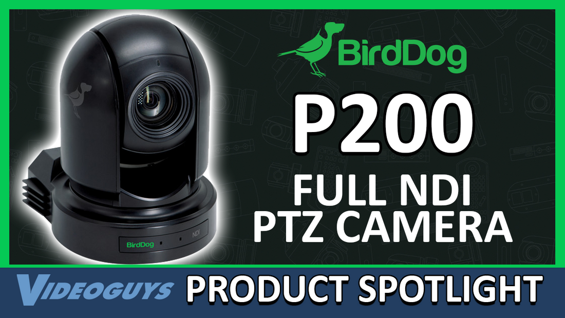 BirdDog P200 PTZ Camera Massive Price Drop! | Videoguys Product Spotlight
