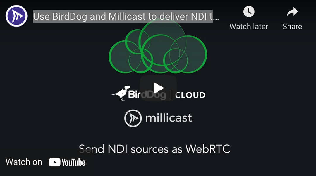 BirdDog NDI and WebRTC Cloud Workflow Tutorial