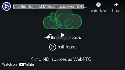 BirdDog NDI and WebRTC Cloud Workflow Tutorial