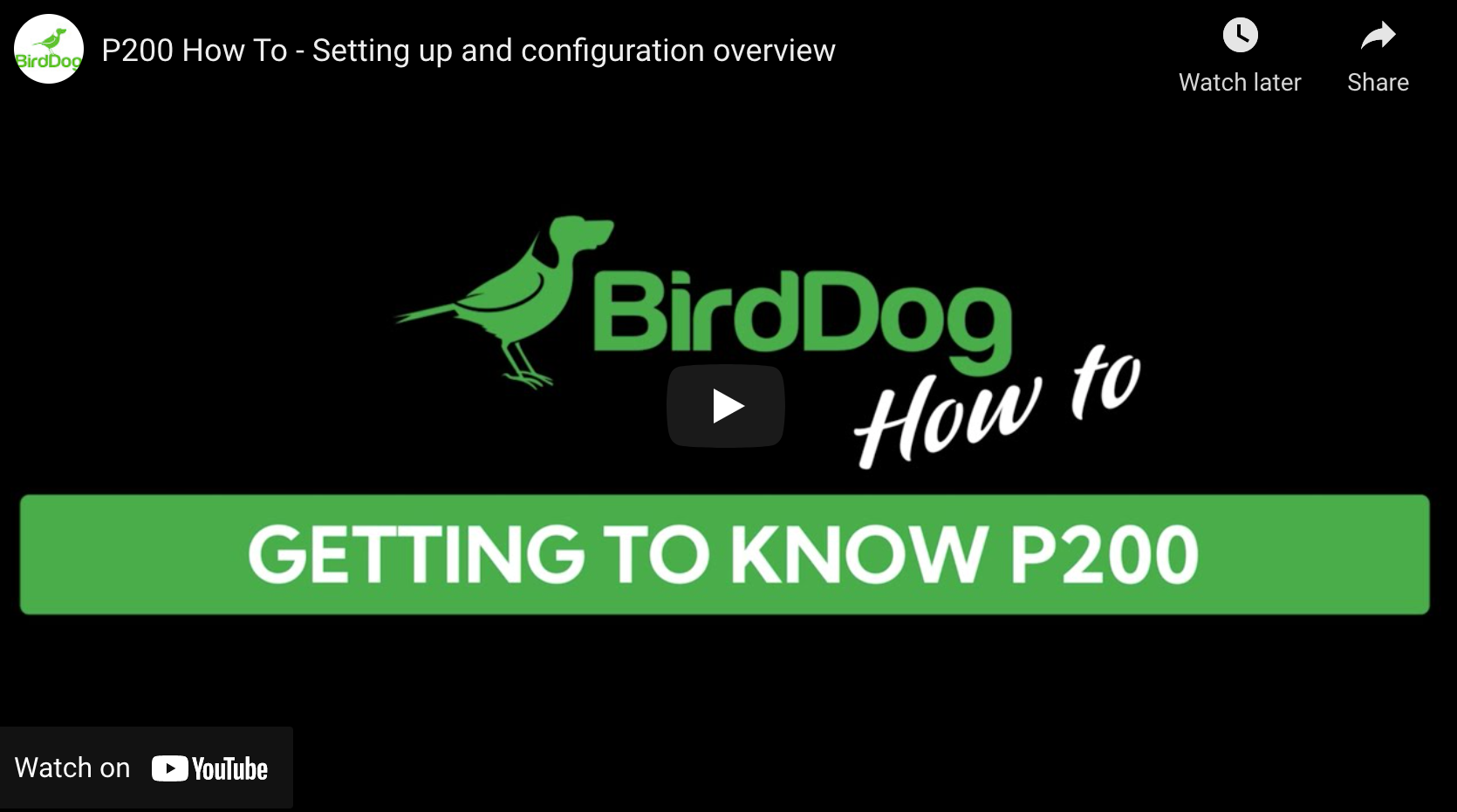 Bird Dog - Video Guide