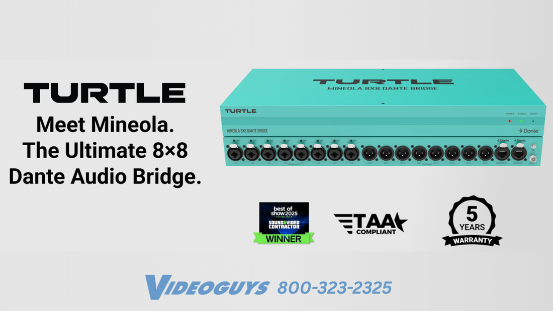 Turtle Mineola is the Ultimate Dante Audio Bridge