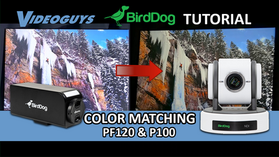 Color Match BirdDog's PF120 Box Camera & P100 PTZ Camera