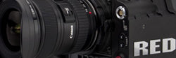 Red Scarlet, Canon C300, and the Paradox of Choice