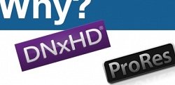 Why you should use Avid DNxHD and Apple ProRes